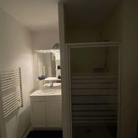 Апартаменты 49 Metres Carres, Calme, Recent, Bien Situe, Accessible En Voiture Garage, Ascenseur Брест