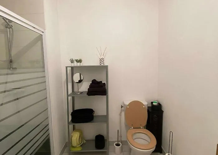 Appartement 49 Mètres Carrés, Calme, Récent, Bien Situé, Accessible En Voiture Garage, Ascenseur *