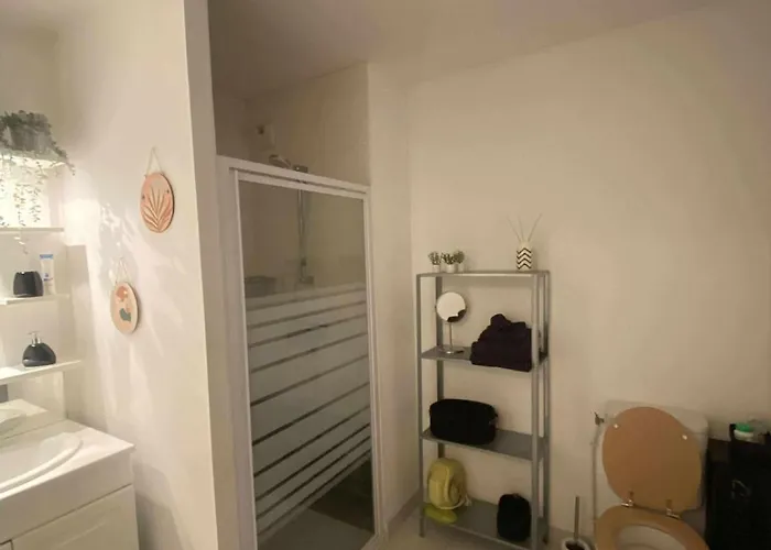 Appartement 49 Mètres Carrés, Calme, Récent, Bien Situé, Accessible En Voiture Garage, Ascenseur